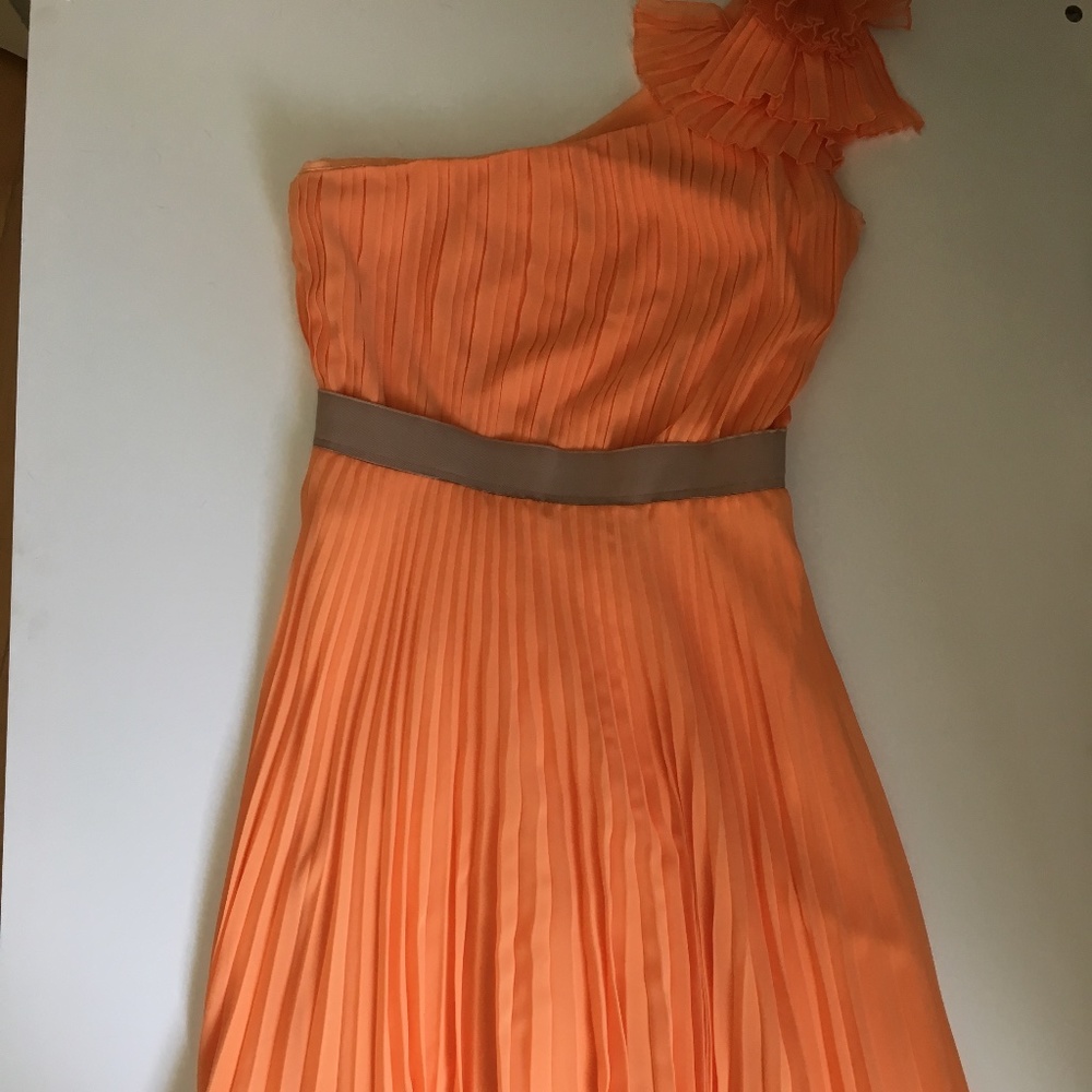 BCBGMaxAzria Orange Ruffled Dress